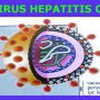 virus dell'epatite c
