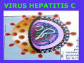 virus dell'epatite c